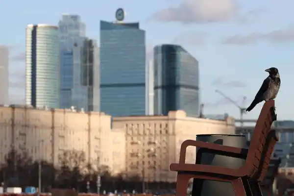 ���� ������� �������� � ������� ���� ����� ������� ������