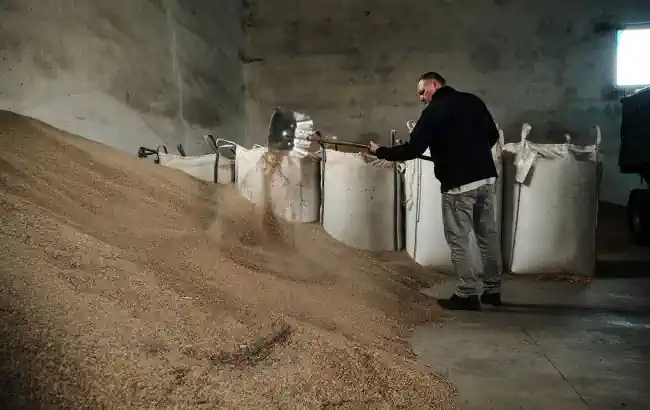 Україна розробляє механізм стягнення зернових репарацій з РФ