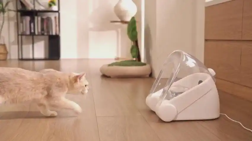 ������������ �������� � �������� ������������ ������� � �������� 99,9%