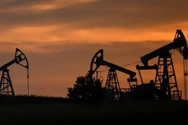 ������ �����������, ������� ����� � ��������� �������������: �� �������� �������� ��������� ���������