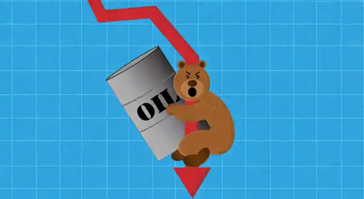 ������ ������ �� �� ����� �������� ���� ���� �������� ������� �����