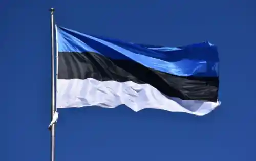 Розвідка Естонії: Загроза з боку РФ для безпеки Балтії зростає
