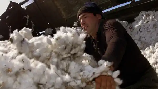 ��������� ���������� �������� ���������� �� ��'���� � ����