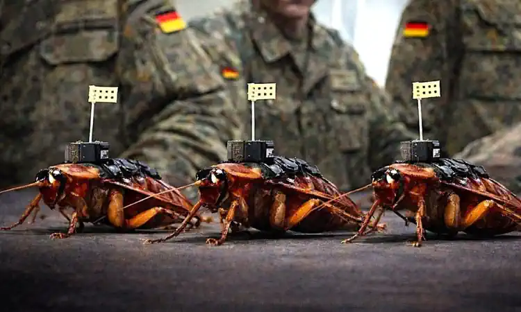 ����� ������� �� ����� �������� ��쳿: ��������� ����� ���� ��������� �������