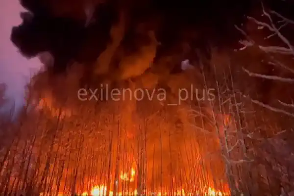 ��� ������� ������ ��������� � ����������� ������ ��