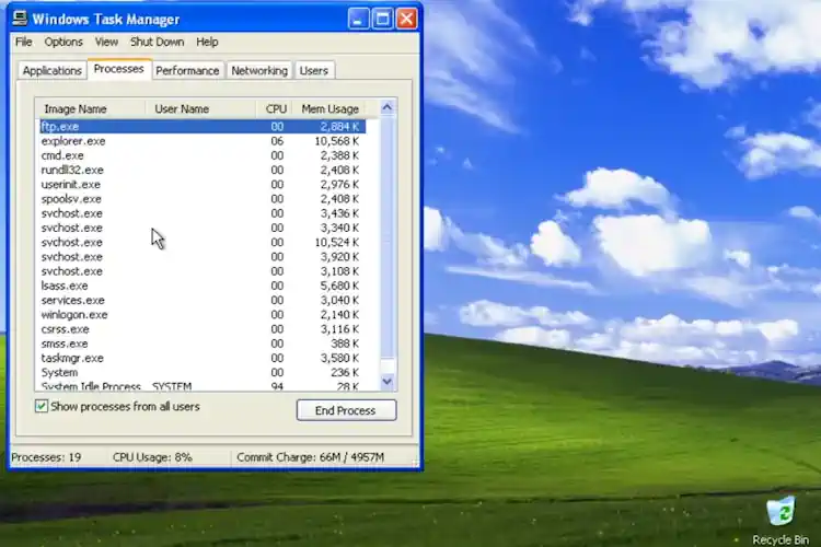  Windows XP    10          