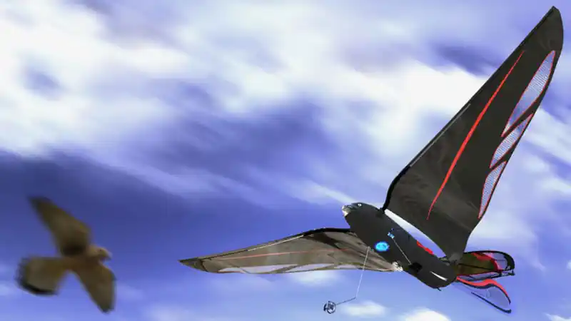 ������� ���������� ����-���������� Swift ����� ����� 11 �: ��� �� ���� � �������� � ���������