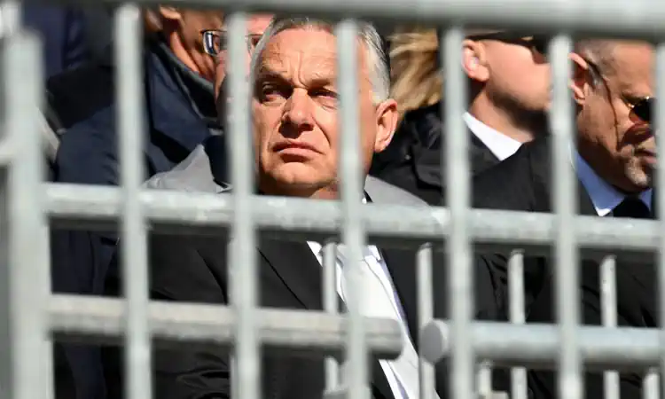 ������� Բ���. �� �������� ������?